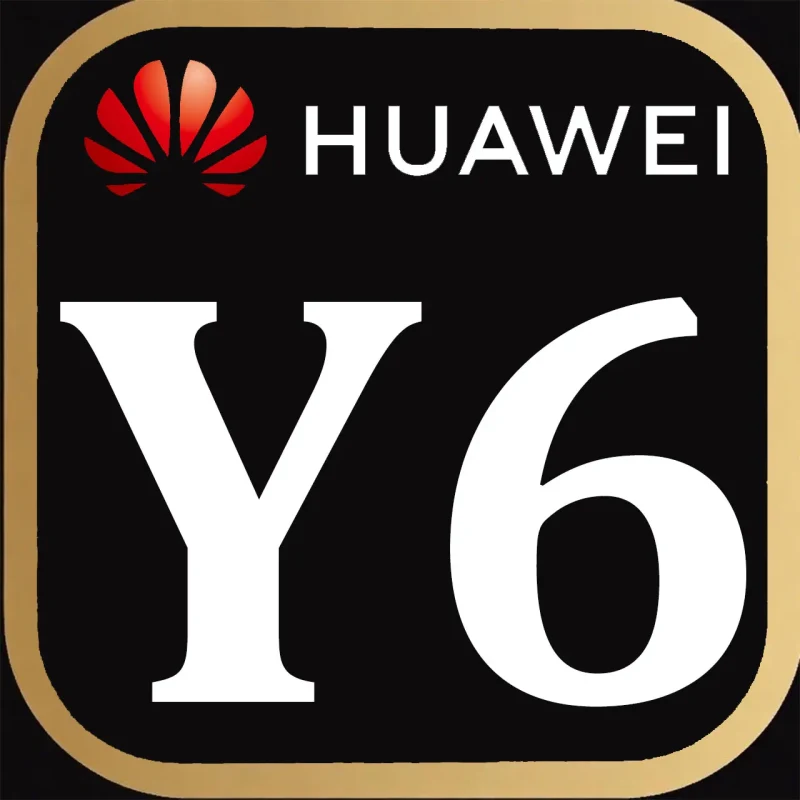 Y6 series