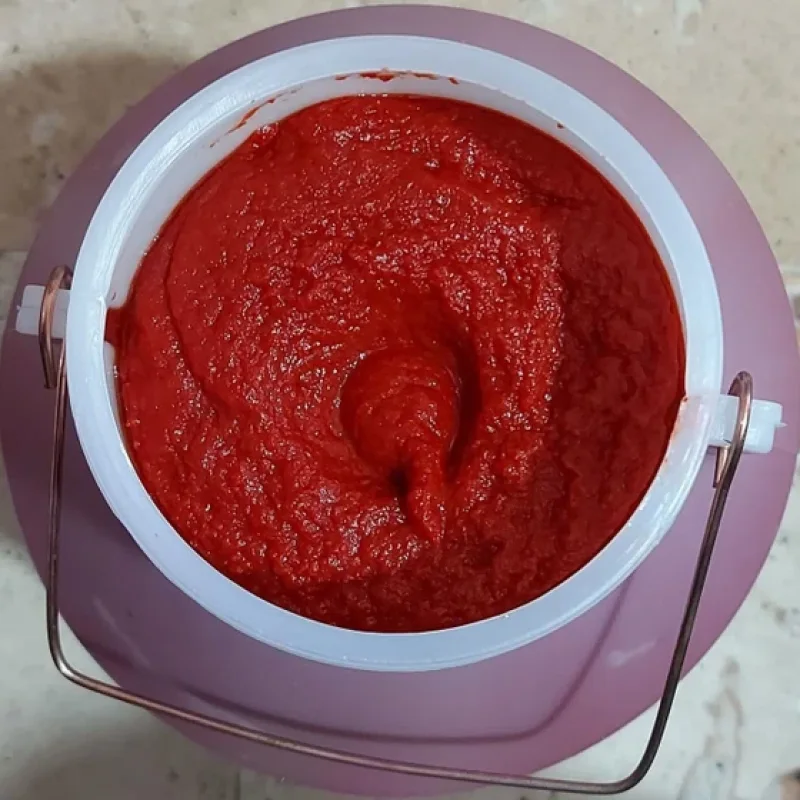 رب گوجه خانگی درجه یک زمرد ،1 کیلویی
