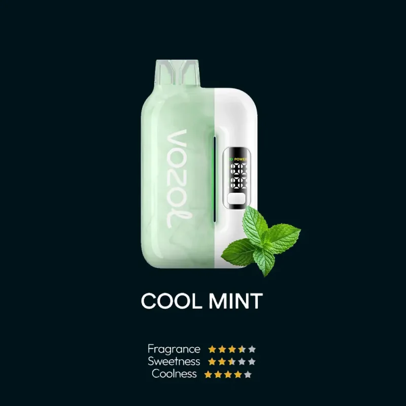 (نعنا یخ - COOL MINT) VOZOL MAGIC 20000 CARTRIDGE